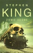 Mroczna Wi... - Stephen King -  Polish Bookstore 