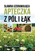 Sławna uzd... - Zbigniew Przybylak -  books from Poland