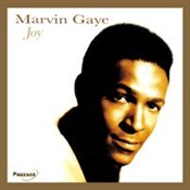 Joy - Marvin Gaye - Ksiegarnia w UK