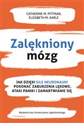 Zalękniony... - Catherine M. Pittman, Elizabeth M. Karle -  books from Poland