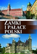 Zamki i pa... - Joanna Włodarczyk -  books from Poland