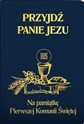 Przyjdź Pa... - Stanisław Groń -  Książka z wysyłką do UK