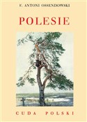 Polesie - Antoni Ferdynand Ossendowski -  Książka z wysyłką do UK
