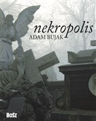 Nekropolis... - Adam Bujak, Jacek Kolbuszewski -  books in polish 