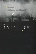 polish book : Którędy sz... - Jan Balaban