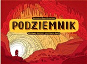 Polska książka : Podziemnik... - Aleksandra Mizielińska, Daniel Mizieliński
