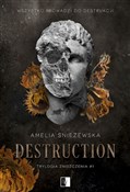 polish book : Destructio... - Amelia Śnieżewska