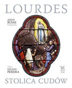 Lourdes St... - Nelson Pereira, Adam Bujak -  Polish Bookstore 
