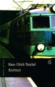 polish book : Anatolin - Hans-Ulrich Treichel