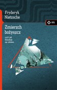 Zmierzch b... - Fryderyk Nietzsche -  foreign books in polish 