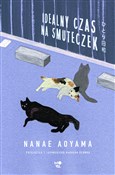 Idealny cz... - Nanae Aoyama -  books in polish 