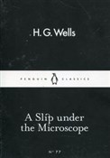 A Slip und... - H.G. Wells -  books in polish 