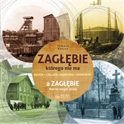 Zagłębie k... - Tomasz Kostro -  Polish Bookstore 