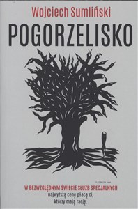 Picture of Pogorzelisko