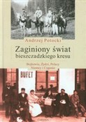 Zaginiony ... - Andrzej Potocki -  books in polish 