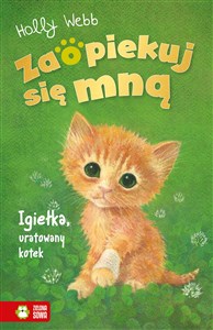 Picture of Zaopiekuj się mną Igiełka, uratowany kotek