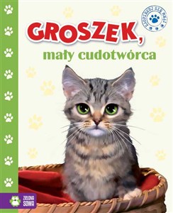 Picture of Groszek mały cudotwórca