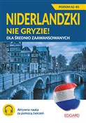 polish book : Niderlandz... - Magdalena Donderowicz