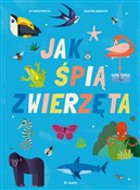 Polska książka : Jak śpią z... - Octavio Pintos, Martin Lannuzzi