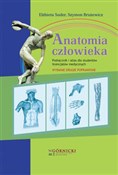 Anatomia c... - Elżbieta Suder, Szymon Brużewicz - Ksiegarnia w UK