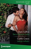 polish book : Sen o Nowy... - Dani Collins