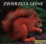 Zwierzęta ... -  books from Poland