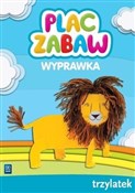 Plac zabaw... - Dorota Augsburg, Katarzyna Borecka, Beata Kamińska -  books in polish 