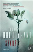 Szadź - Igor Brejdygant -  books from Poland