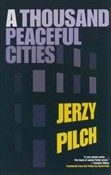 polish book : A Thousand... - Jerzy Pilch