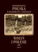 Wołyń i Po... - Prof. Tadeusz Szydłowski -  books from Poland