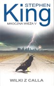 Mroczna wi... - Stephen King -  books from Poland