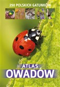 Atlas owad... - Kamila Twardowska, Jacek Twardowski -  books from Poland