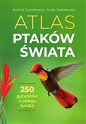 Polska książka : Atlas ptak... - Kamila Twardowska, Jacek Twardowski