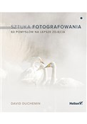 Sztuka fot... - David DuChemin -  books from Poland