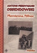Płomienna ... - Antoni Ferdynand Ossendowski -  Książka z wysyłką do UK