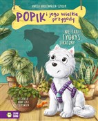Popik i je... - Aniela Cholewińska-Szkolik -  Polish Bookstore 