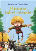 Historia ż... - Antonina Domańska -  Książka z wysyłką do UK