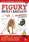 Figury, br... - Opracowanie Zbiorowe -  Polish Bookstore 