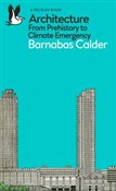 Architectu... - Barnabas Calder -  Książka z wysyłką do UK