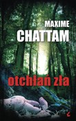 Otchłań zł... - Maxime Chattam -  books in polish 