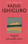 Pejzaż w k... - Kazuo Ishiguro -  books in polish 