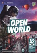 Polska książka : Open World... - Anna Cowper, Sheila Dignen, Susan White